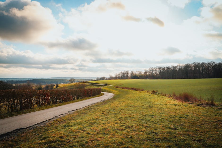 De glooiende heuvels van de Vlaamse Ardennen